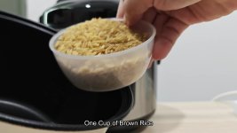 brown-rice-in-an-aroma-cooker-anyone-use-the-dedicated-button-2.jpg