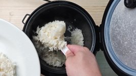 basmati-in-an-aroma-cooker-anyone-else-just-use-the-white-rice-setting-5.jpg
