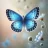 Blue Butterfly
